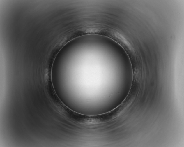 X0000094940549200711291355