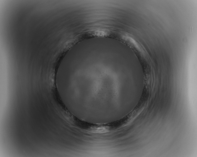 X0000094940553200711291355
