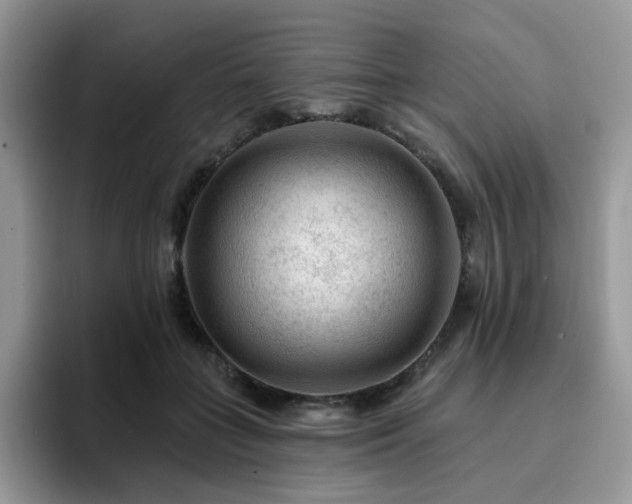 X0000094940555200711291355