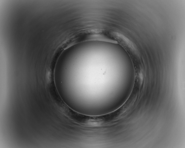 X0000094940556200711291355