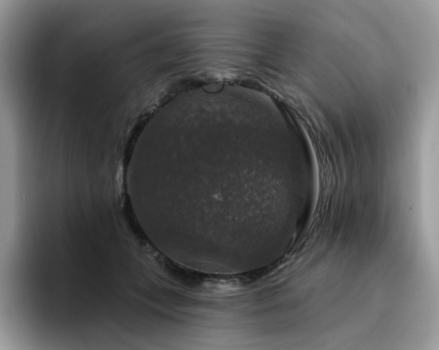 X0000094940559200711291355