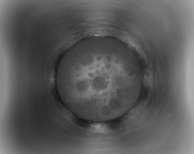 X0000094940561200711291355