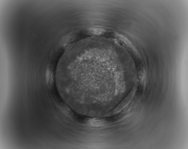 X0000094940568200711291355