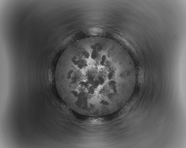 X0000094940569200711291355