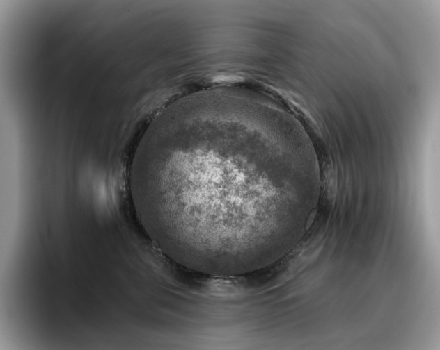 X0000094940571200711291356