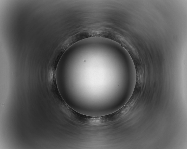 X0000094940574200711291356