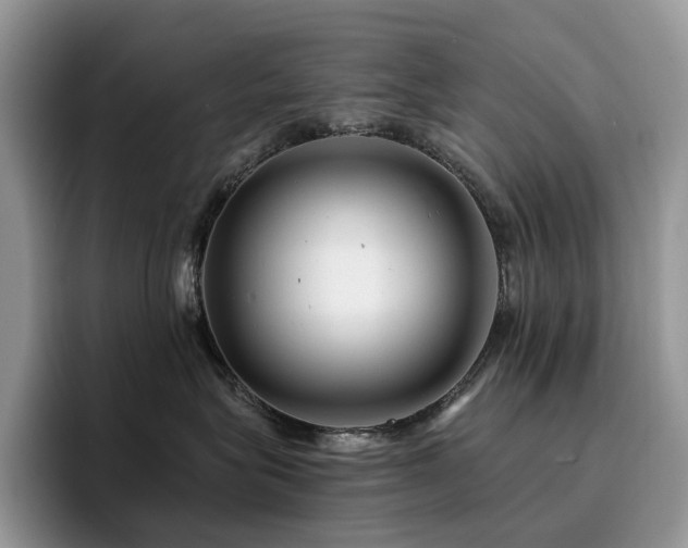 X0000094940575200711291356