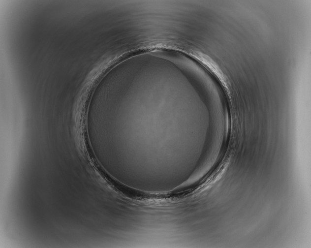 X0000094940577200711291355