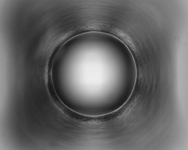 X0000094940578200711291355