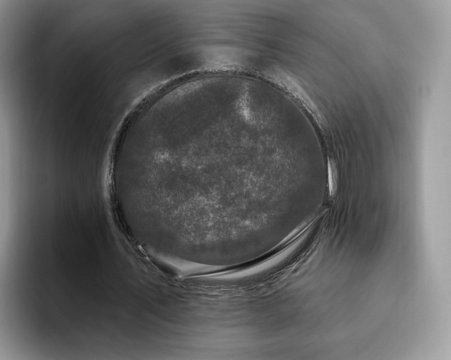 X0000094940579200711291355