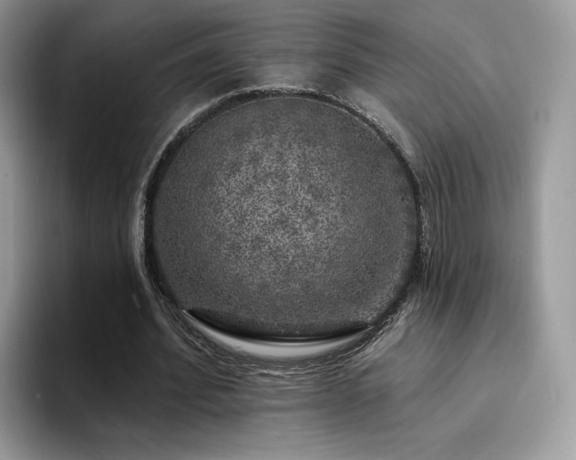 X0000094940580200711291355