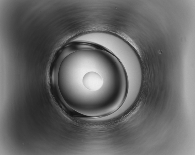 X0000094940581200711291355