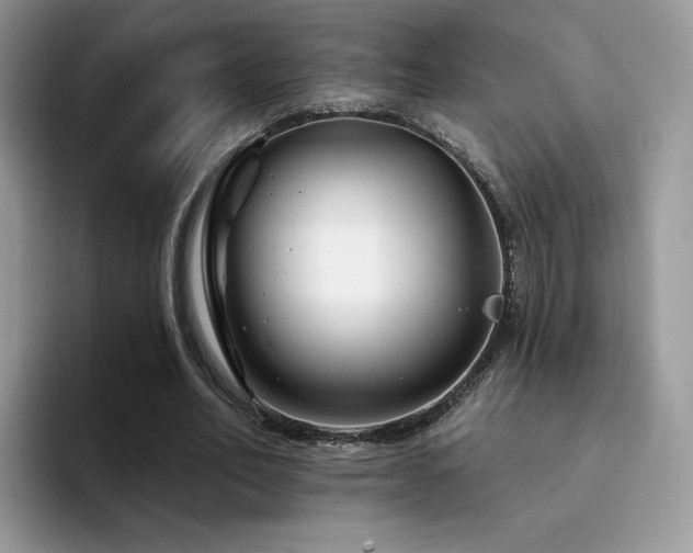 X0000094940582200711291355