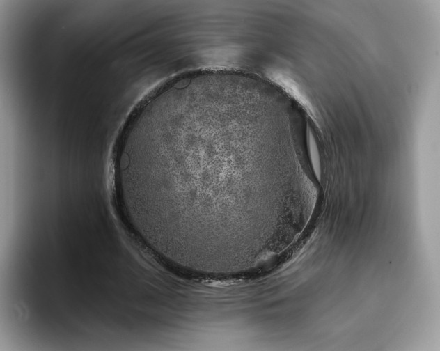 X0000094940584200711291355