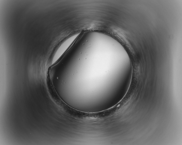 X0000094940586200711291355