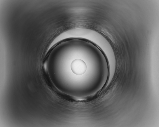 X0000094940593200711291355