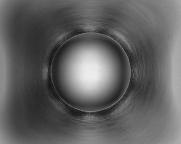 X0000094940596200711291355