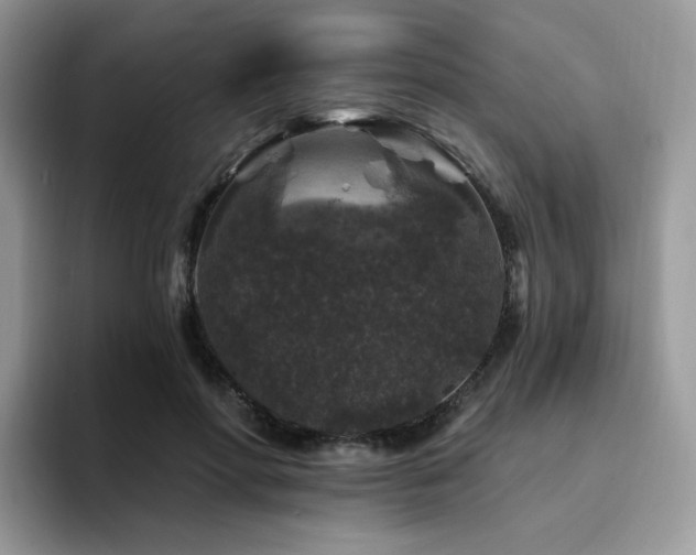 X0000094940598200711291355