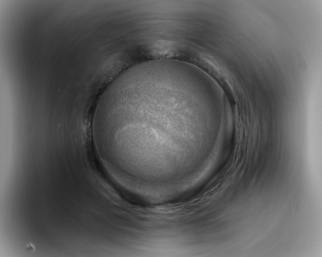 X0000094940601200711291355