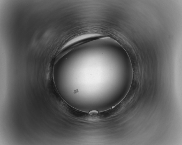 X0000094940604200711291355
