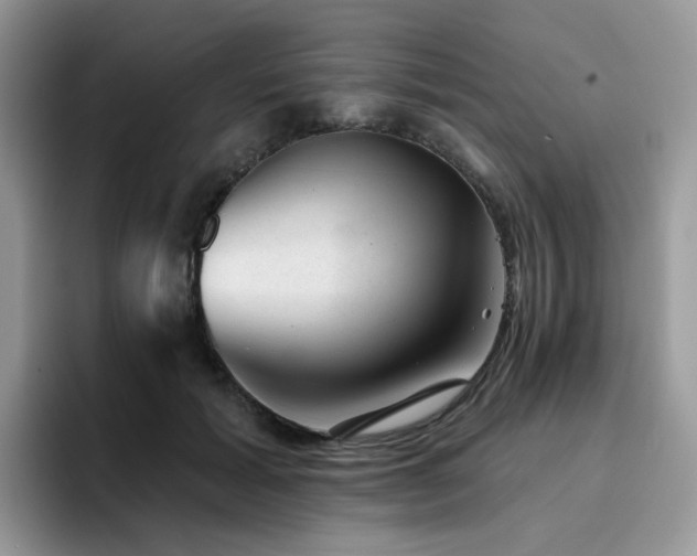 X0000094940605200711291355