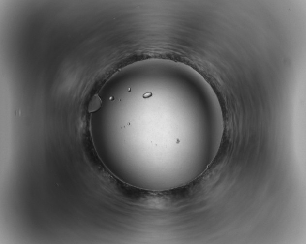 X0000094940608200711291355