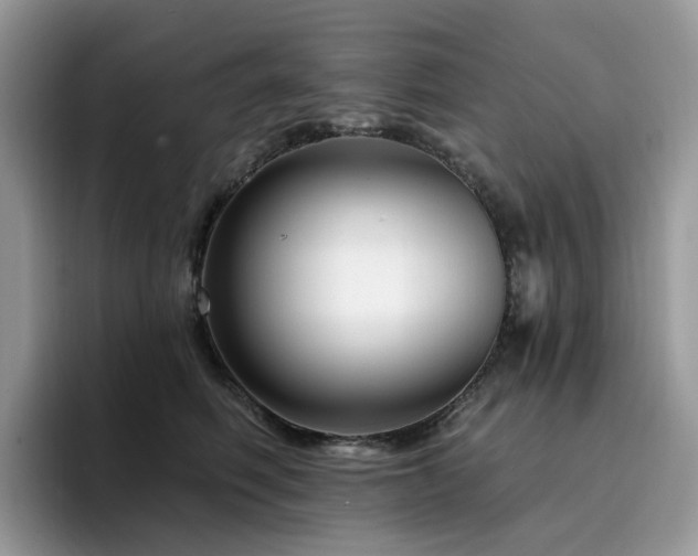 X0000094940614200711291354