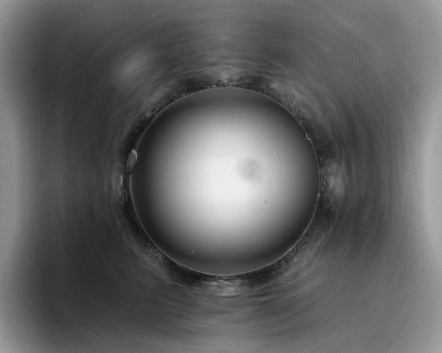 X0000094940615200711291354