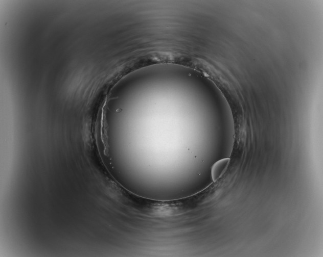 X0000094940616200711291354