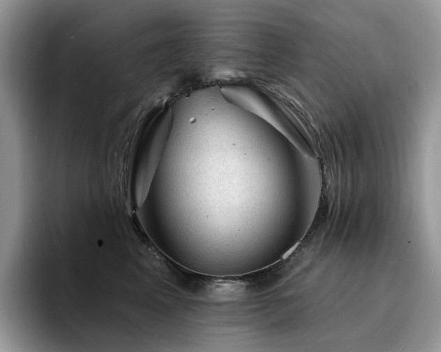 X0000094940617200711291354