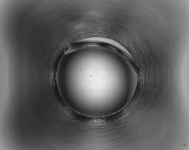 X0000094940619200711291354