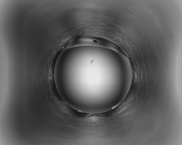 X0000094940620200711291354