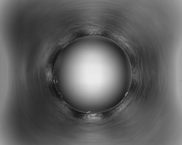X0000094940622200711291354