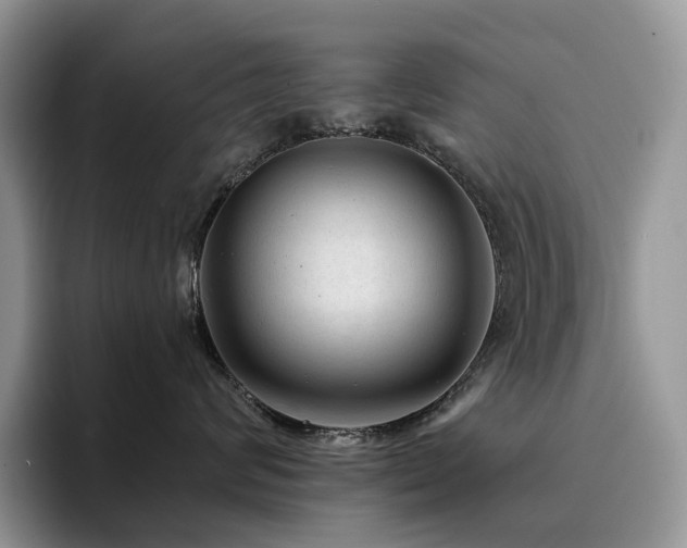 X0000094940624200711291354