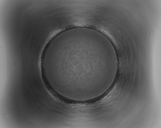 X0000094940626200711291354