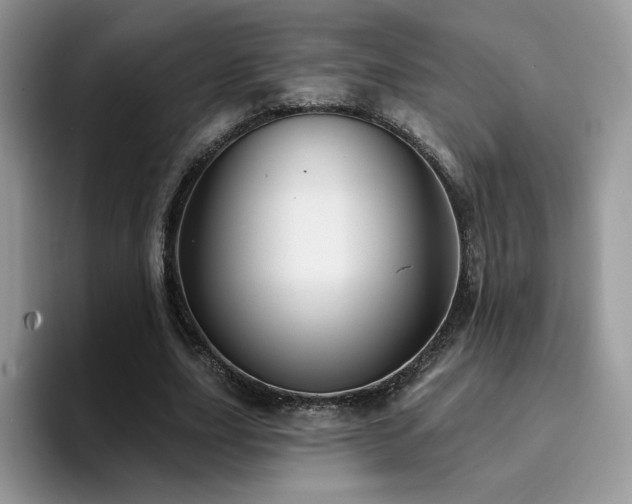 X0000094940631200711291354