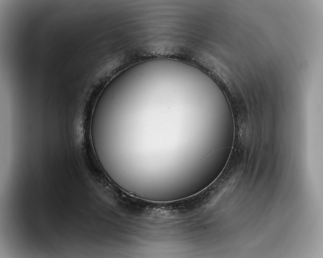X0000094940635200711291354