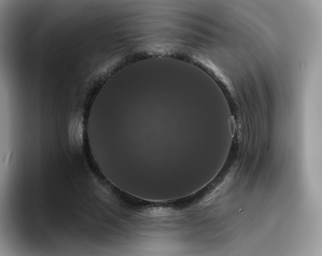 X0000094940637200711291354