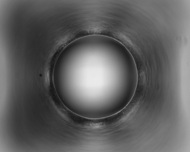 X0000094940638200711291354