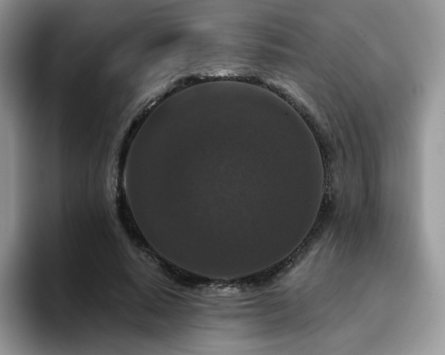 X0000094940640200711291354