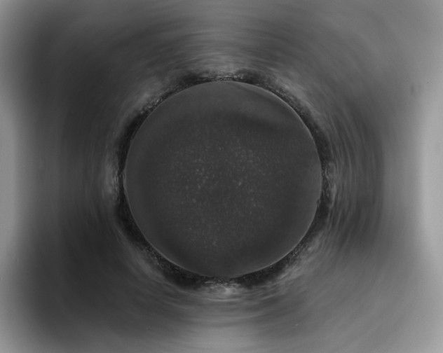 X0000094940642200711291354