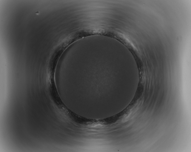 X0000094940643200711291354