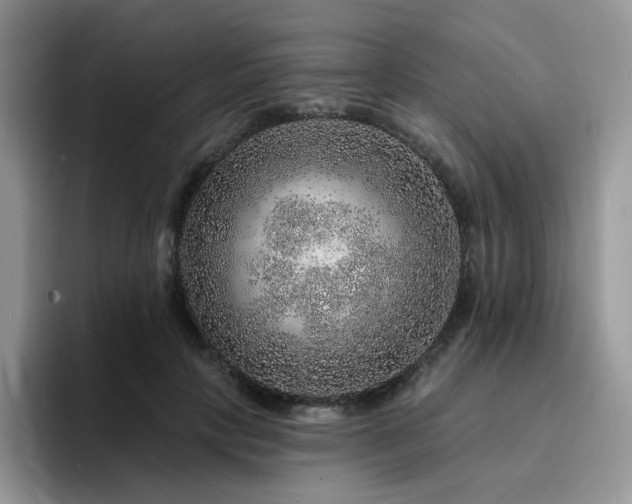 X0000094940649200711291354