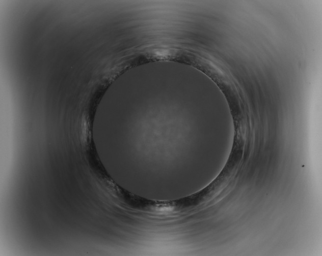 X0000094940651200711291354