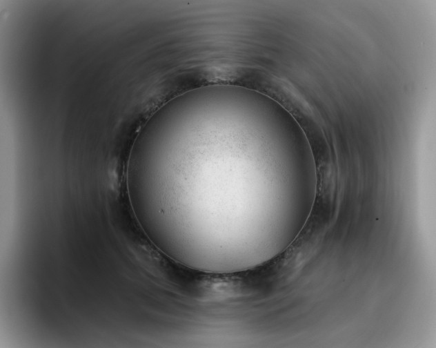X0000094940655200711291354