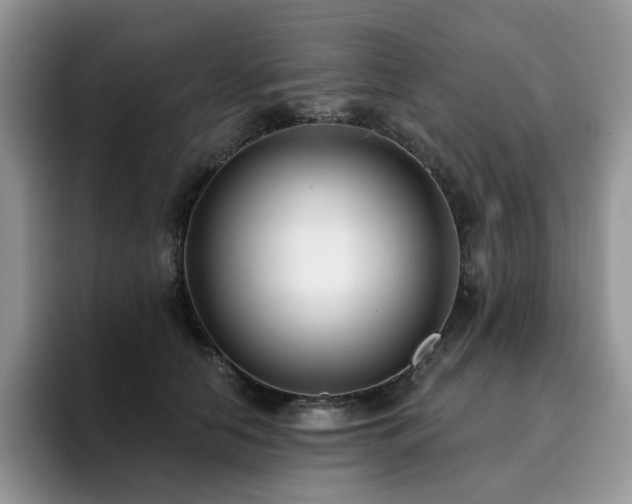 X0000094940658200711291354