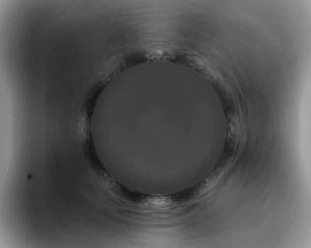 X0000094940659200711291354