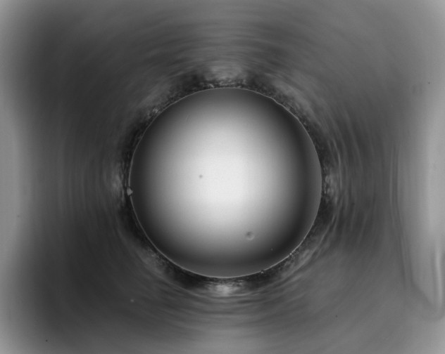 X0000094940662200711291354