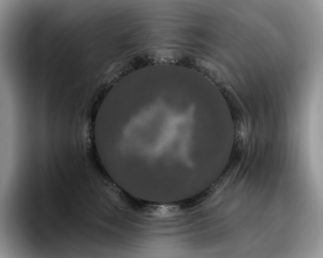 X0000094940663200711291354