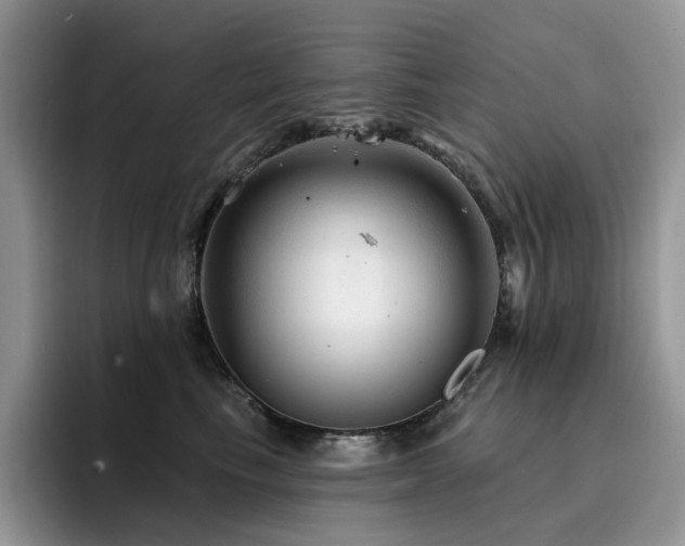 X0000094940665200711291354